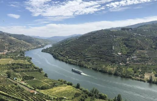 Emerald Radiance Kreuzfahrtschiff