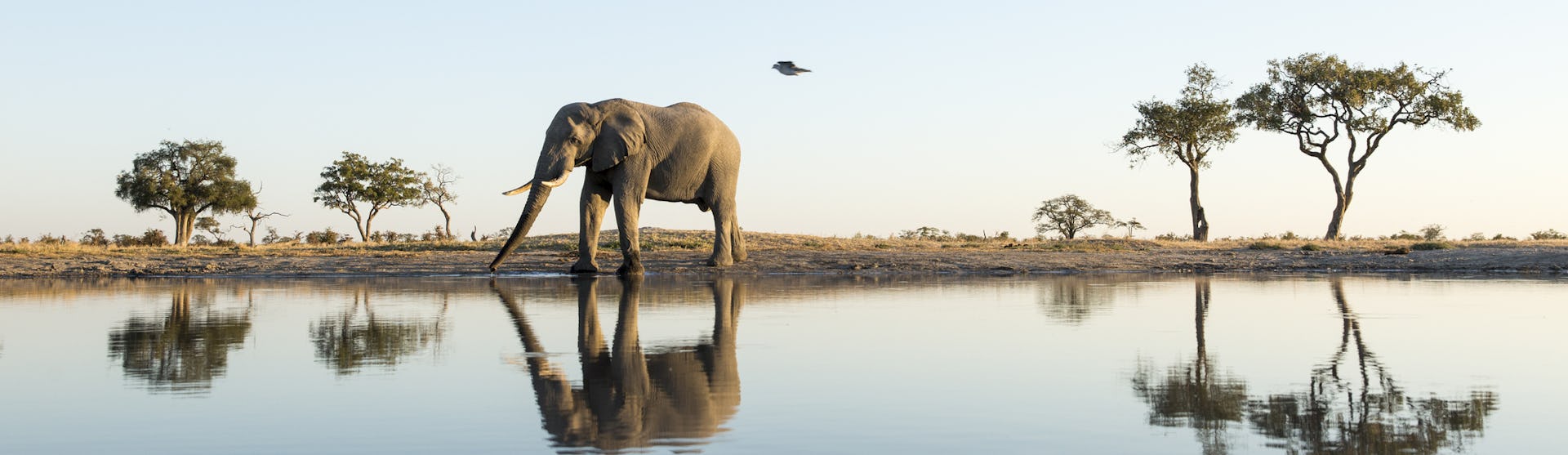 Afrika & Indischer Ozean Kreuzfahrten