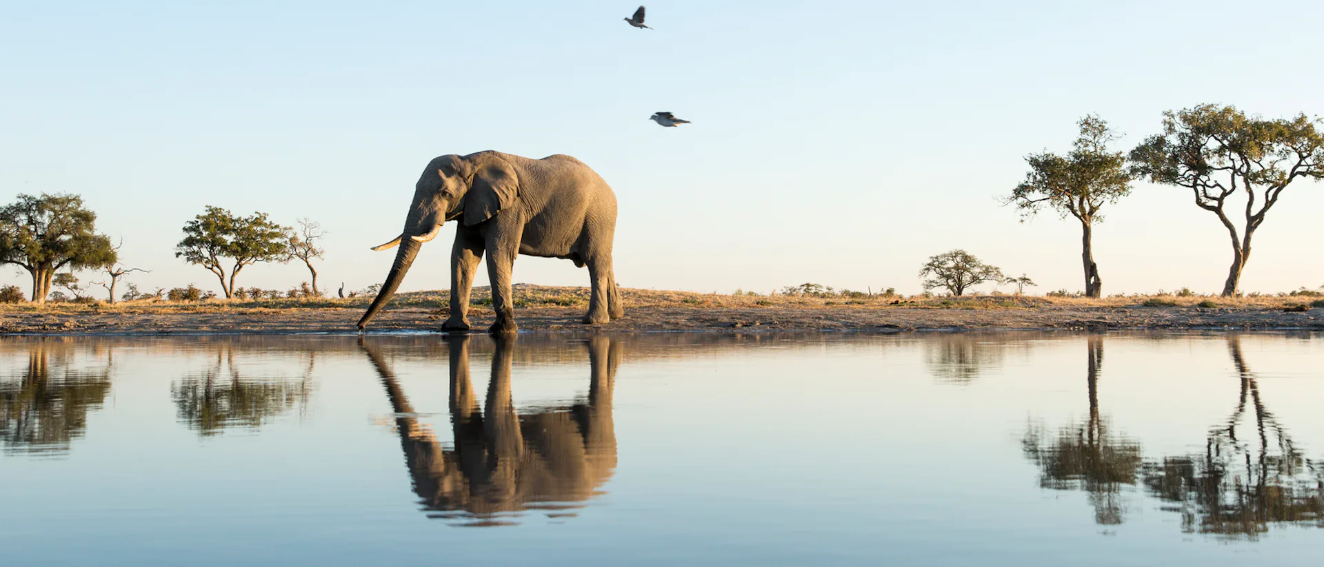 Afrika & Indischer Ozean Kreuzfahrten
