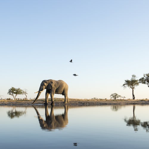 Afrika & Indischer Ozean Kreuzfahrten