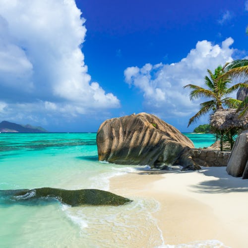 Tansania & Die Korallen-Seychellen