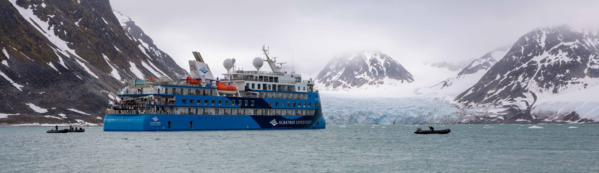 Ocean Albatros