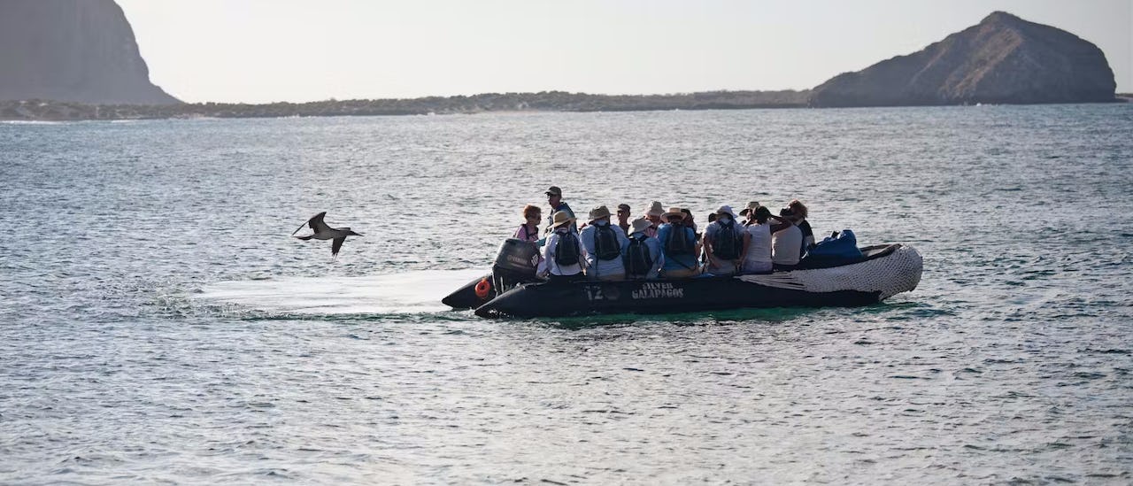 Gäste des Kreuzfahrtschiffes Silver Origin auf einer Zodiac-Tour