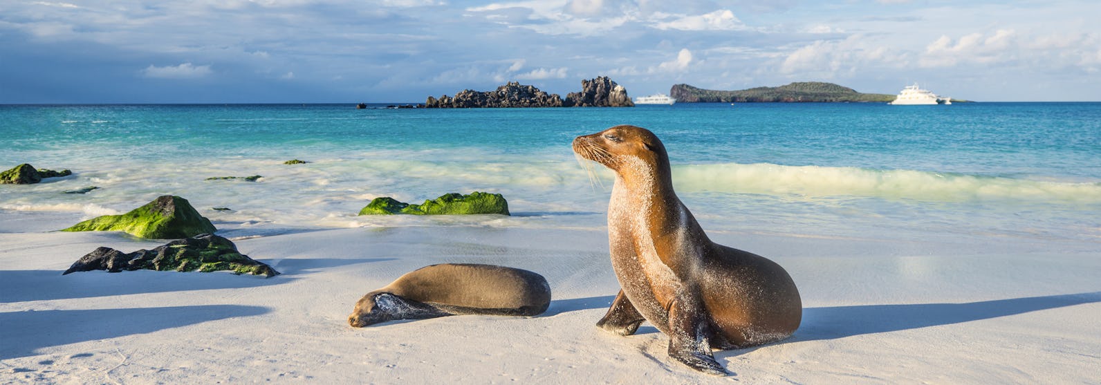 Galapagos Kreuzfahrten