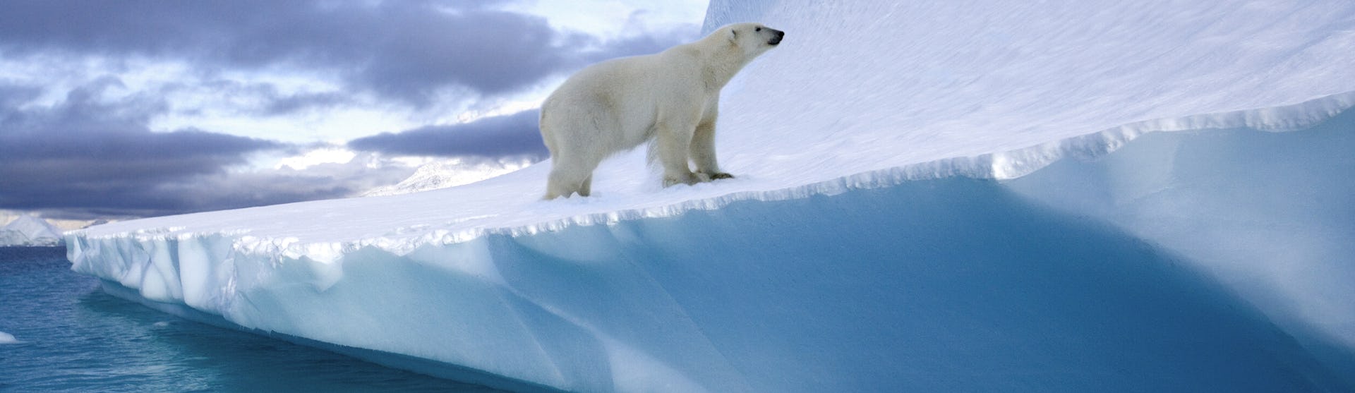 Arktis & Grönland Kreuzfahrten