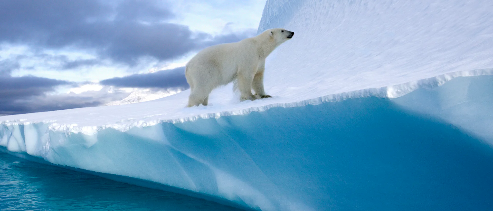 Arktis & Grönland Kreuzfahrten