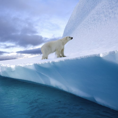 Arktis & Grönland Kreuzfahrten