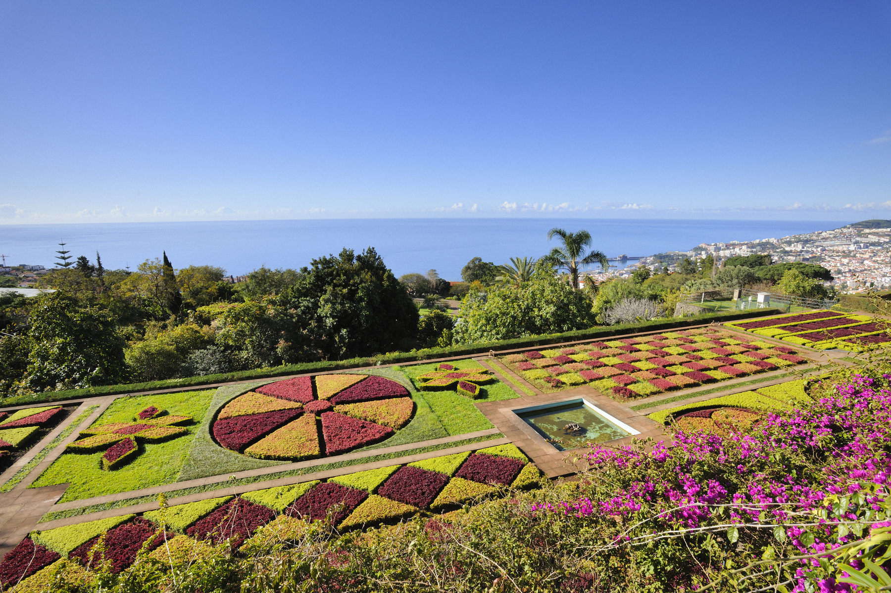 SEGELN MIT BLUMEN IM GEPÄCK