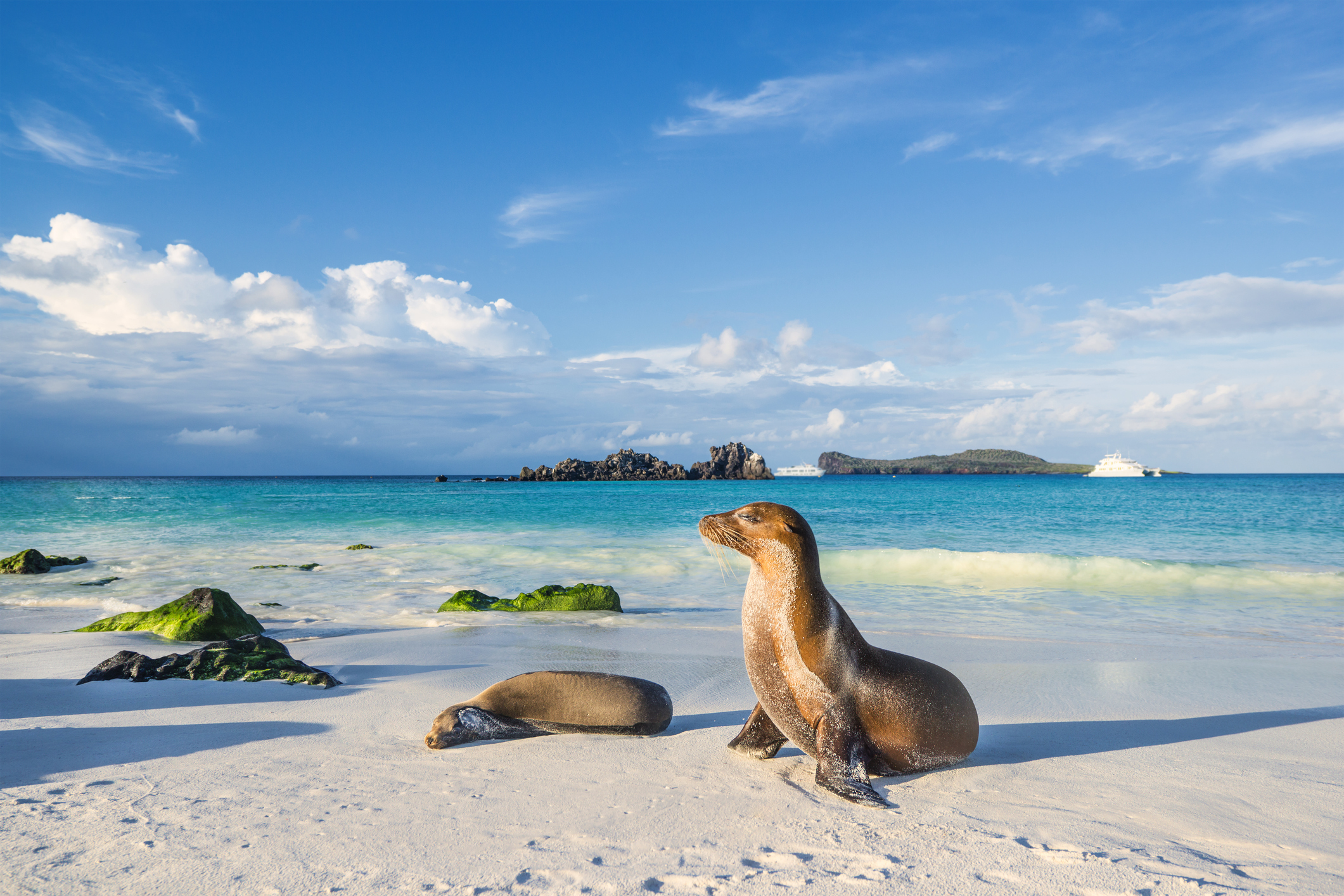 Galapagos Kreuzfahrten